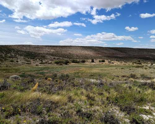 15.000 Ha-paso de INDIOS-CHUBUT-R.25