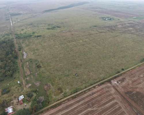 878 HA. Ganadero, Cria. Depto, San Martin (santa FE)