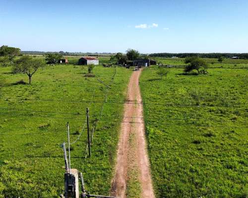 Vendo Campo 20 Has en Ruta 39 Concepción del Uruguay Entre R
