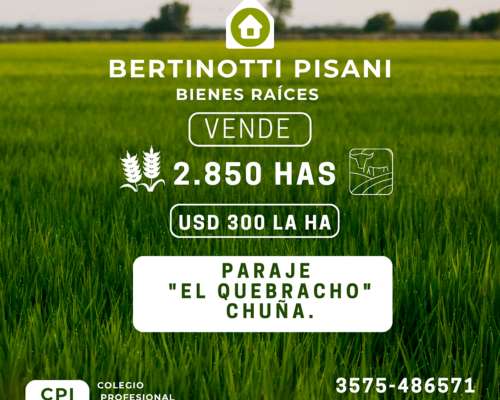 2850 Ha en Paraje el Quebracho- Chuña