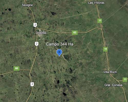 Venta Campo Ganadero 344 Ha - Dolores - Listo P/transferir