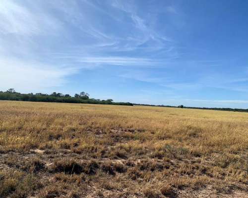 Vendo Estancia a Tranquera Cerrada