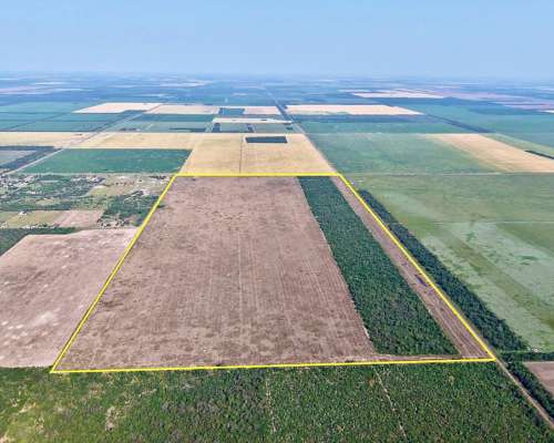 200 Has en Venta - Pcia del Chaco, Charata