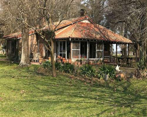 Campo en Venta de 110 Has en Mercedes. Ganadero