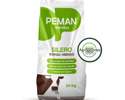 Semilla de Sorgo Silero Raimi Inta - Peman Semillas