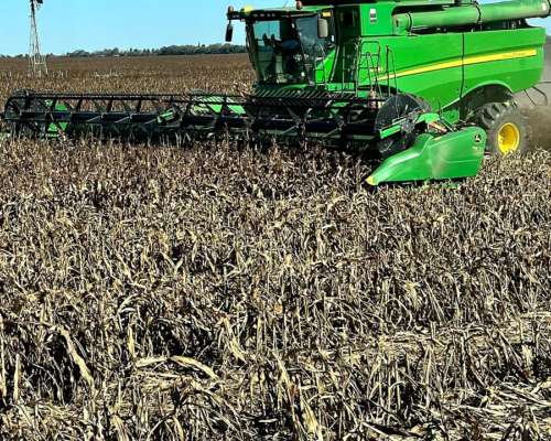 Cosechadora John Deere S680 2016 -draper 45 - Solo 780 Hs