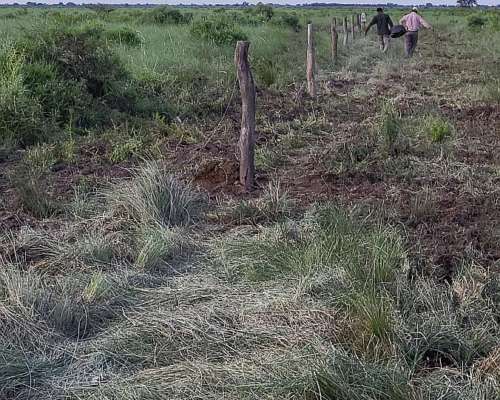 Buen Ca.po en la Rinconada Córdoba