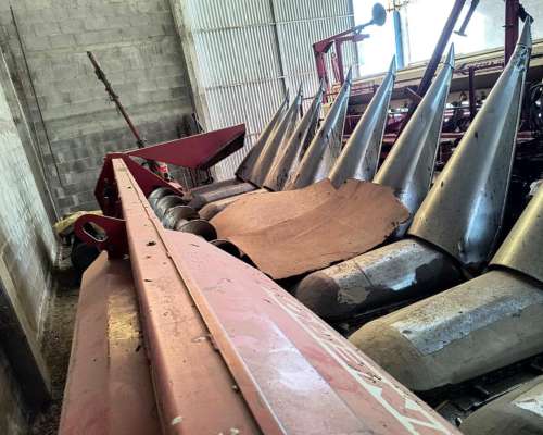 Maicero Mainero 2000 de 16 a 52 muy Bueno 2008