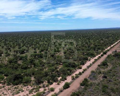 Campo Ganadero- 3.000 Ha en Chuña, Córdoba