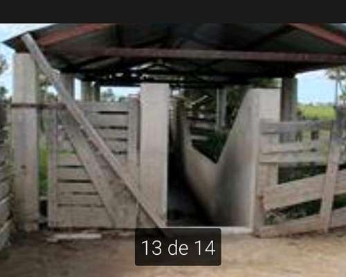 Alquilo 2600 Hectáreas Zona Villa Guillermina