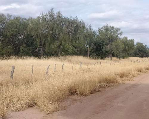 Venta de Campo en Quilino 2460 Hectareas con 1700 Roladas