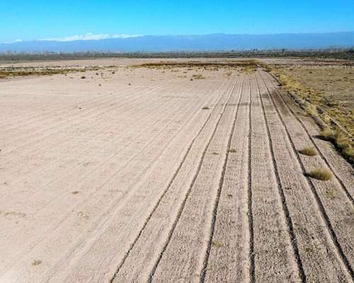 Finca Ideal para Chacra 75ha, Colonia Italia, Lavalle.