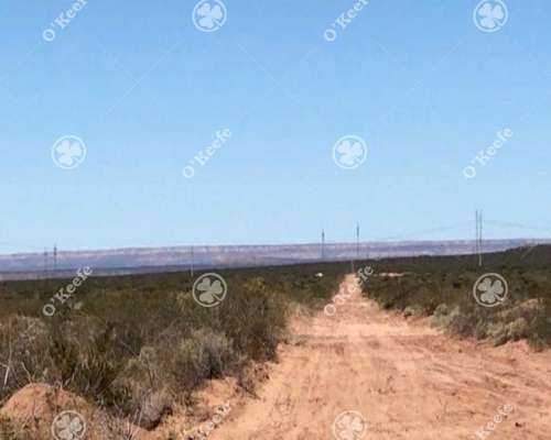 Campo en Venta de 2785 Has en Neuquen