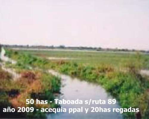 Stgo, Taboada, 50 Has con Riego, Sobre Ruta 89 Asfaltada