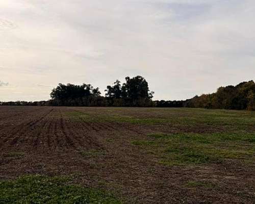 Campo 41hac Agricola Rueda Santa FE