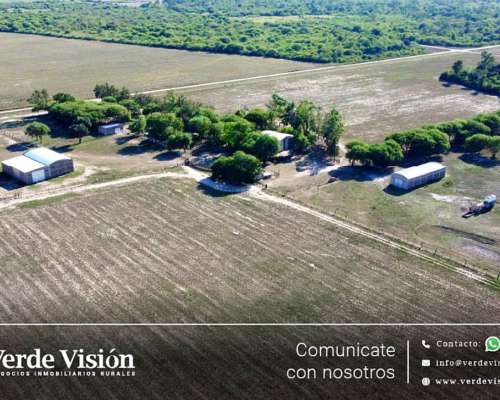98 Has en Venta - Pcia del Chaco, Napenay