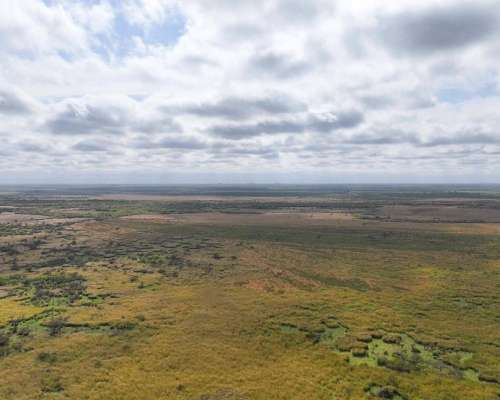 Pcia. de Entre Rios - Maria Grande 526 Has