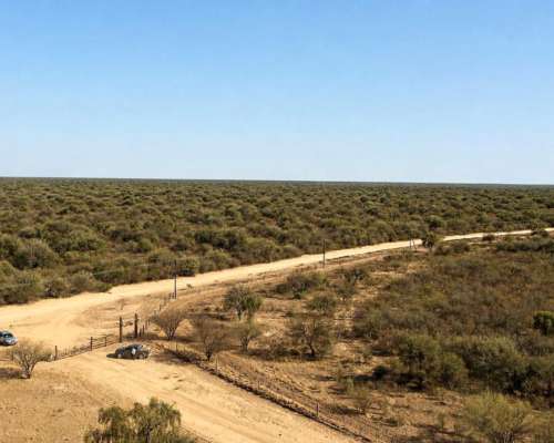 Guanaco Muerto, Cruz del Eje, Córdoba - 4.500 Ha