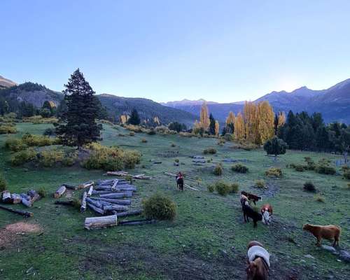 Venta Campo 291 Hectareas en Lago Rivadavia Cholila Chubut