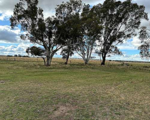 Don Octavio Campo de Cria