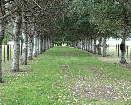 A 200 km de BS AS por Autopista, Recreativo, Polo, Casco