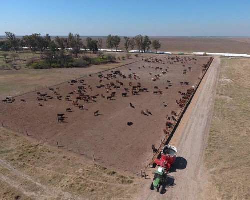 Pinto, Aguirre, Santiago del Estero - 4.593 Ha