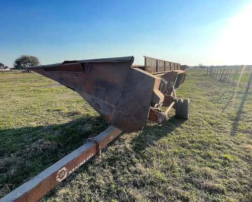 Girasolero Mainero de 10 a 70 cm
