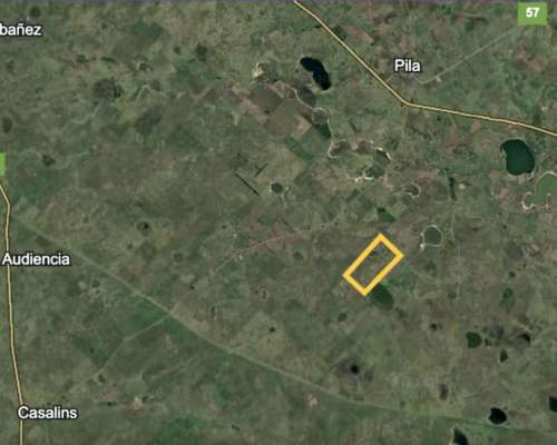 Oportunidad - Arrendamiento Campo Ganadero 1400 Ha