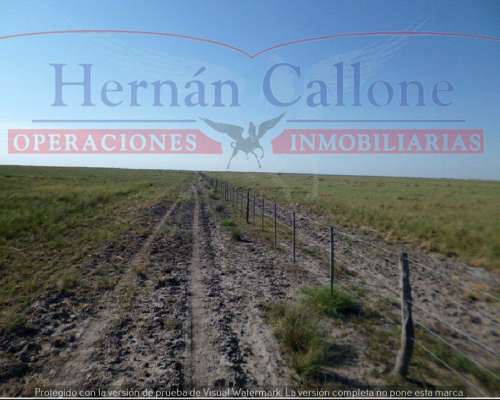 Campo Ganadero 5560 Ha en SUR de Santiago del Estero