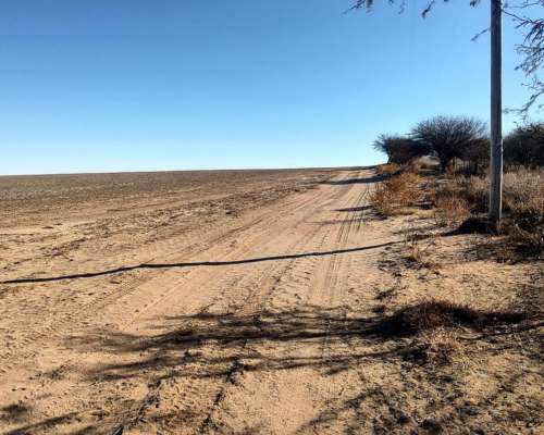 Vende 195 Hectáreas Zona Juan Llerena (s.l)