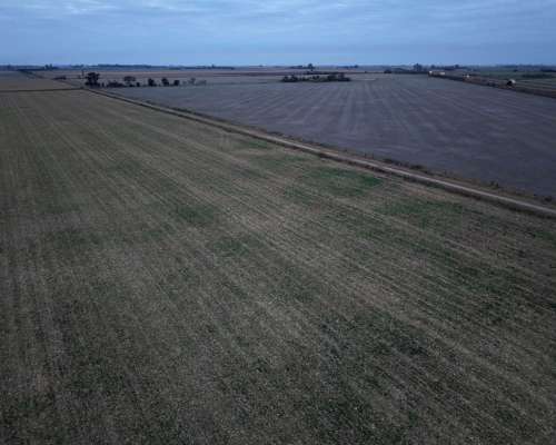 40 HA. Suelo Clase 1 Sobre Ruta. San Genaro (santa FE)