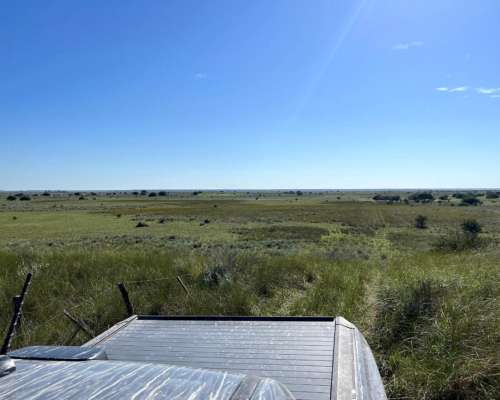 Establecimiento 2580 Ha Venta