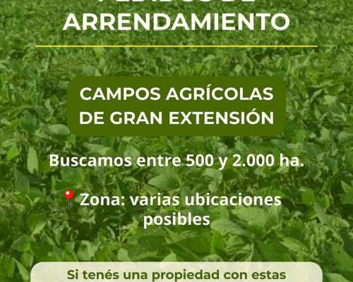 La Pampa - Pedidos de Campos para Arrendamiento Agrícola