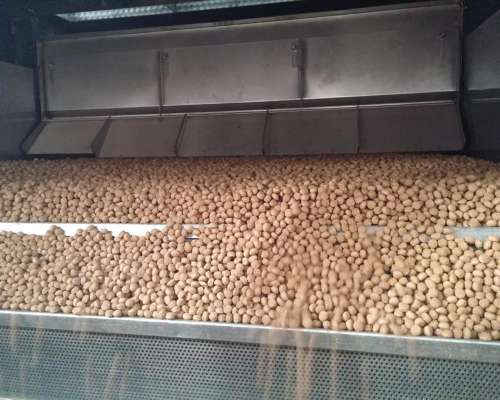 Plantas de Alimentos Balanceados, Extruidos y Extracción de