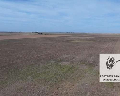 Se Vende Campo Mixto - Gral Deheza