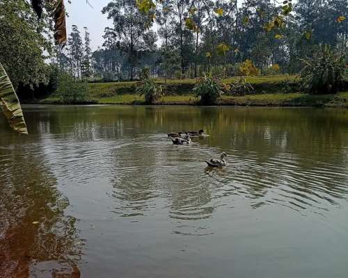 Se Vende Quinta 1.25ha con Lagunas en San Isidro - Posadas,