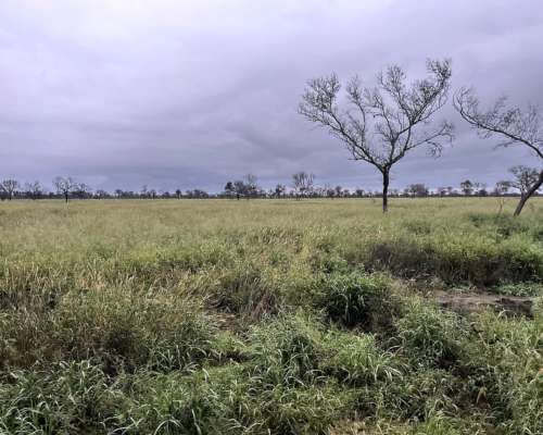 Dispongo de Campo para Capitalización