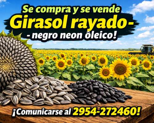 Vende TU Girasol con Nosotros ✅