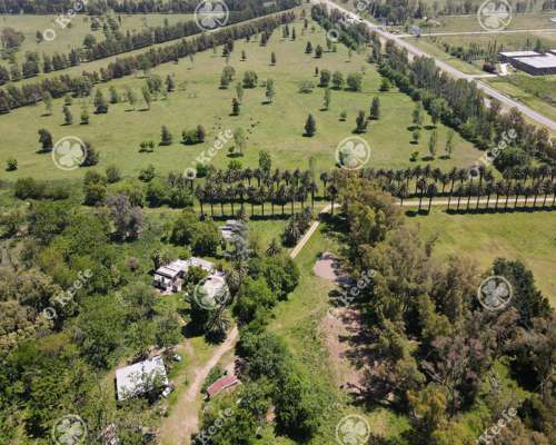 Campo en Venta de 256 Has Sobre Ruta 2 - Ideal Desarrollo