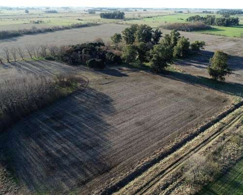 26ha en las Chacras