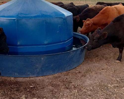 Bebederos Tanques de Polietileno (sin Iva)