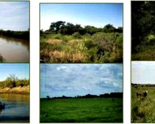 12700 Ha - Agro Ganaderas