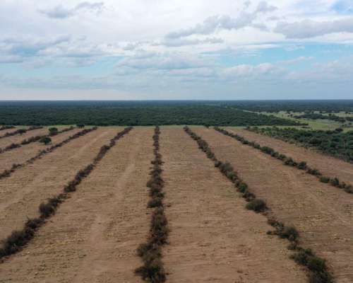 Pcia. de San Luis - Unión 9965 Has