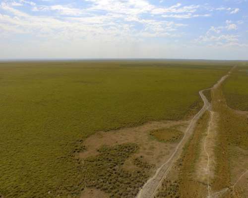 2.228 Has Arrendamiento Ganadero en Pje. San Salvador Corrie