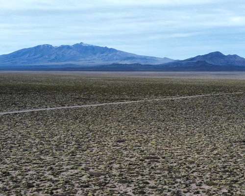 Campo de 49.084 Ha San Rafael y Malargue