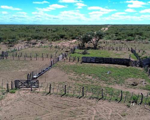 14500 Ha Ganaderas, la Paz, Mendoza