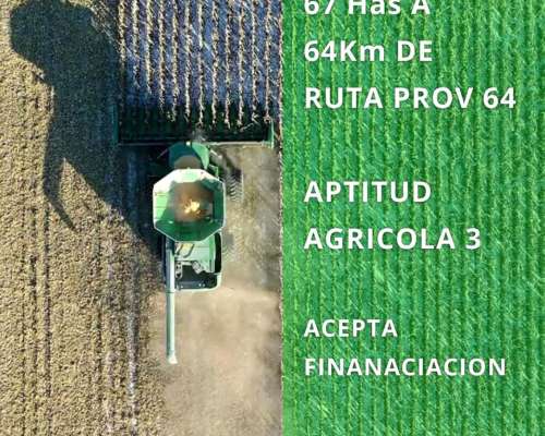 Venta Campo Crispi 67 Has