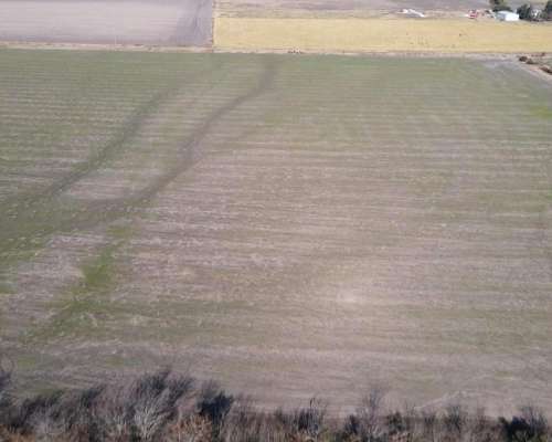 Campo Agrícola en Rocamora de 59 Hectáreas.