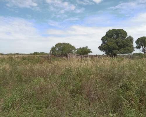 Formosa -2650 Has - Oportunidad-