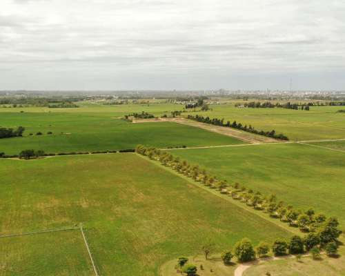 Río Cuarto, Córdoba - 8 Ha